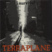 Terraplane I Survive - Glossy Picture Sleeve UK 7" vinyl single (7 inch record / 45) NIK8