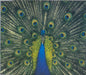 The Bluetones Expecting To Fly UK Promo CD album (CDLP) TONE2