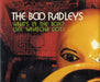 The Boo Radleys What's In The Box? (See Whatcha Got) UK CD single (CD5 / 5") CDSIN127