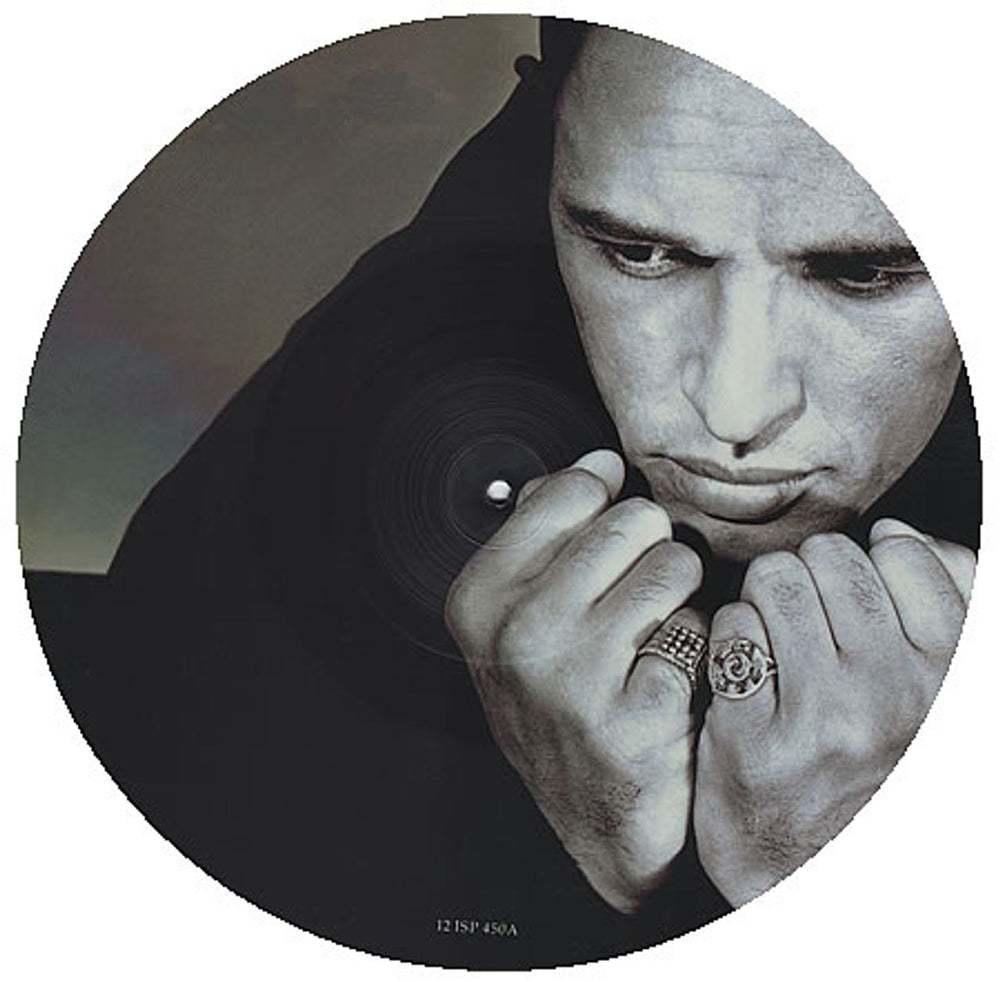 The Christians Words UK 12" vinyl picture disc (12 inch picture record) 12ISP450