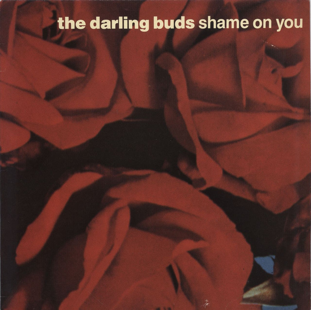 The Darling Buds Shame On You UK 12" vinyl single (12 inch record / Maxi-single) 12BUD1