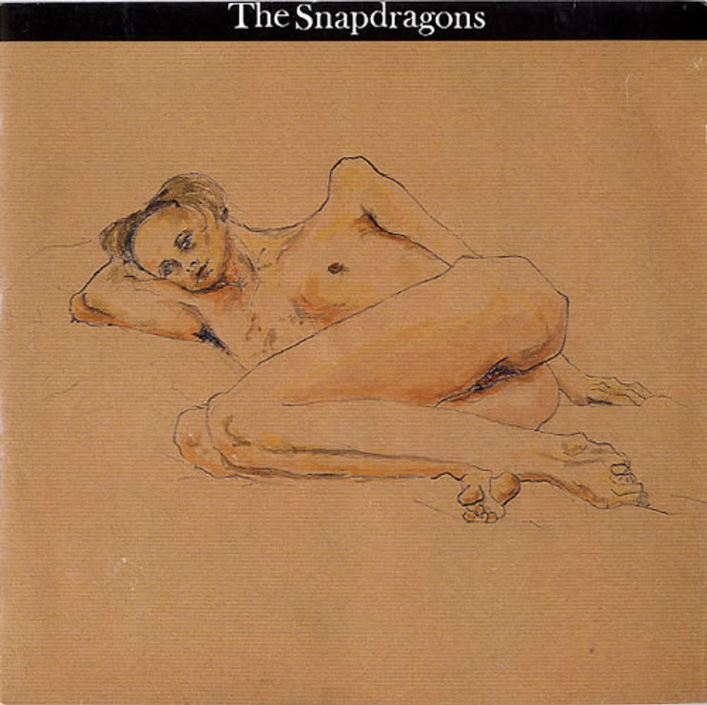 The Snapdragons The Things You Want UK 7" vinyl single (7 inch record / 45) 12NTV13