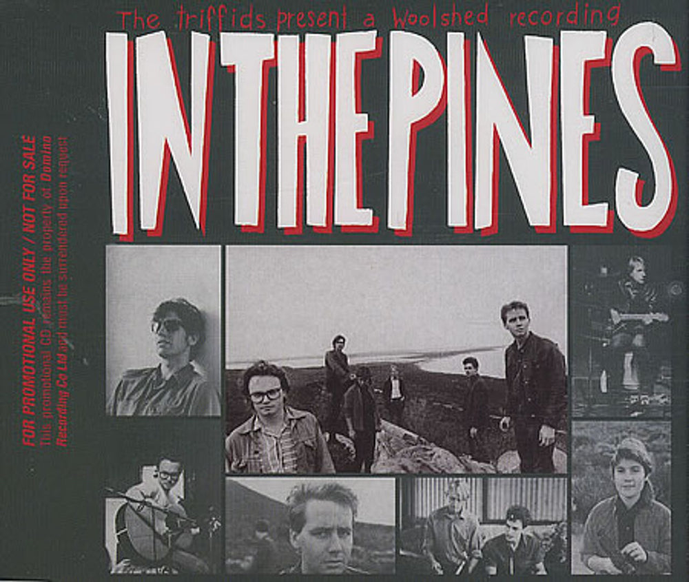 The Triffids (80s) In The Pines UK Promo CD album (CDLP) REWIGCD25P