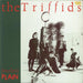 The Triffids (80s) Treeless Plain Australian vinyl LP album (LP record) HOT1003