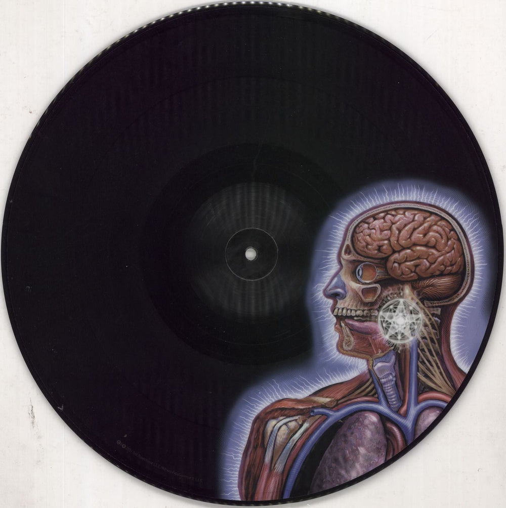 Tool Lateralus - EX US picture disc LP (vinyl picture disc album) OOTPDLA733339