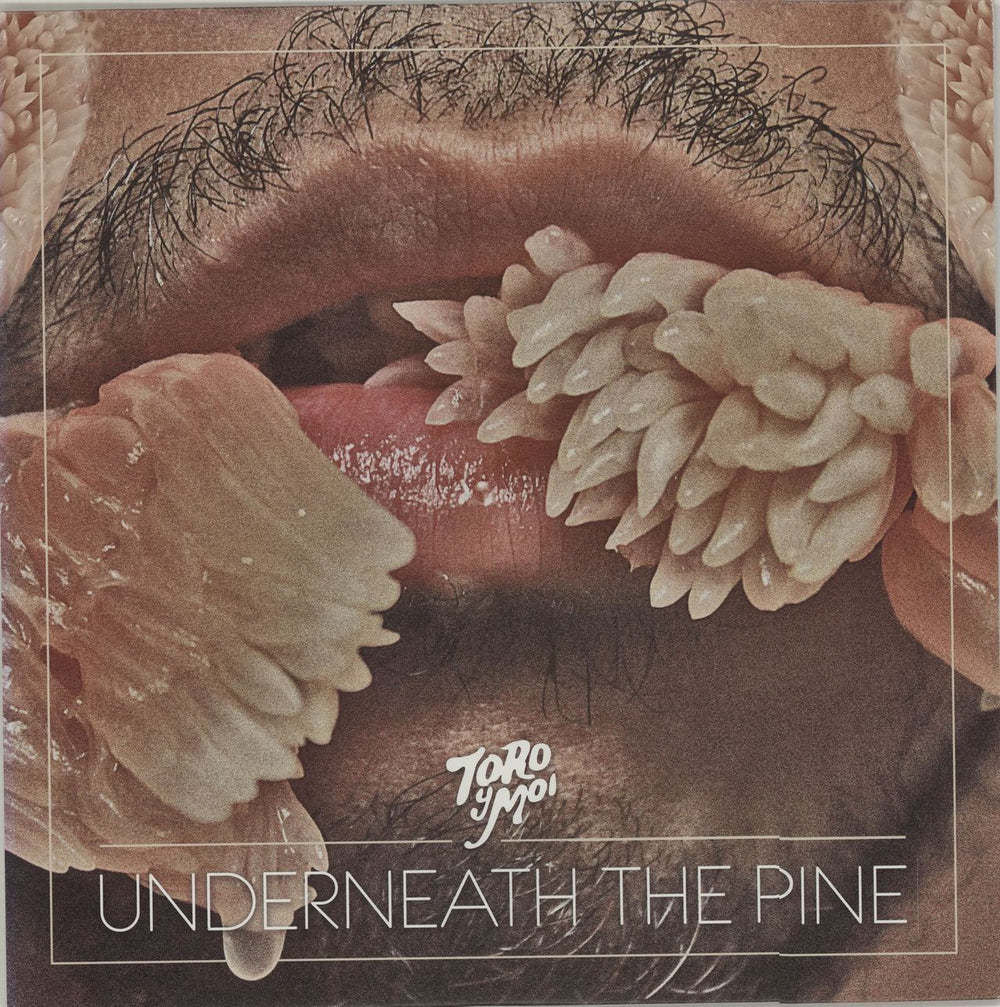 Toro Y Moi Underneath The Pine US vinyl LP album (LP record) CAK59