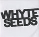 Whyte Seeds Black Key Song UK Promo CD-R acetate CD-R ACETATE