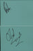 Zico Chain Pages From An Autograph Book UK memorabilia ZICMMPA601871